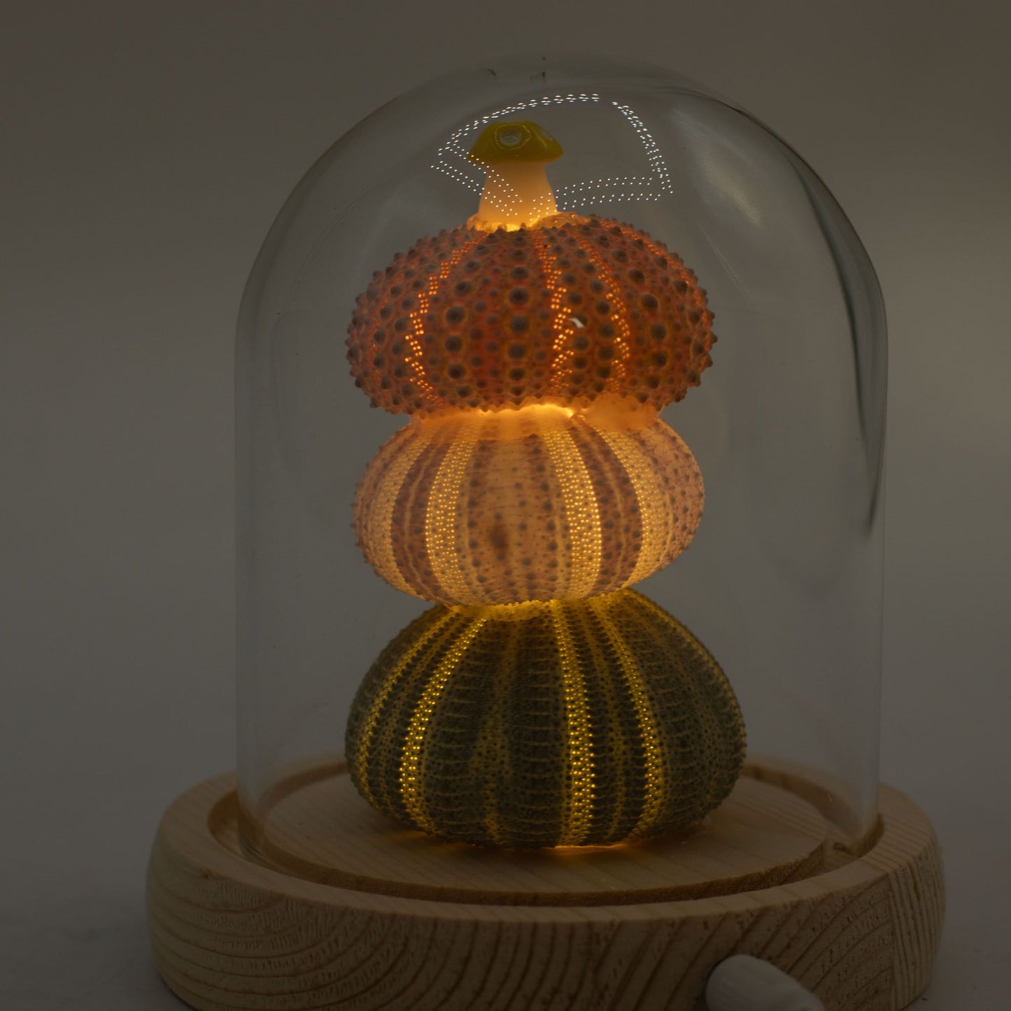 Blomstrande trädgårdskupol - 3 sjöborrar - LED USB