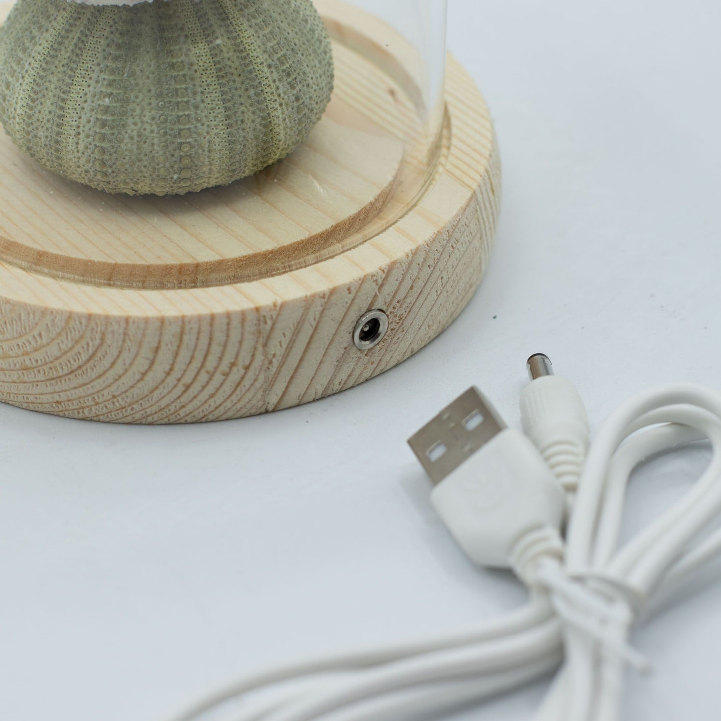 Blomstrande trädgårdskupol - 3 sjöborrar - LED USB