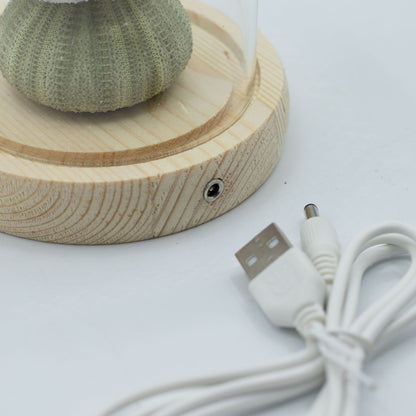 Blomstrande trädgårdskupol - 3 sjöborrar - LED USB