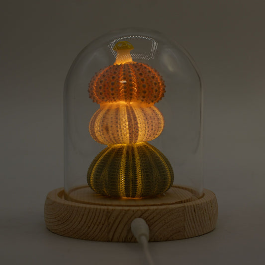 Blomstrande trädgårdskupol - 3 sjöborrar - LED USB